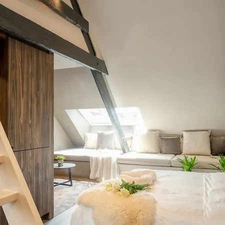 公寓 Charming Attic Retreat In Historic Center *