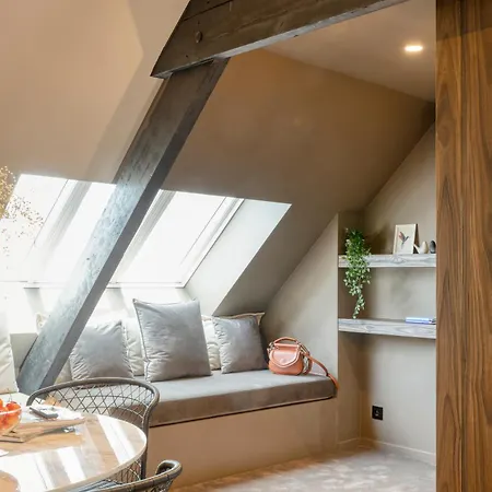 Charming Attic Retreat In Historic Center 公寓
