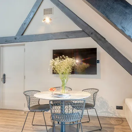 Charming Attic Retreat In Historic Center 公寓