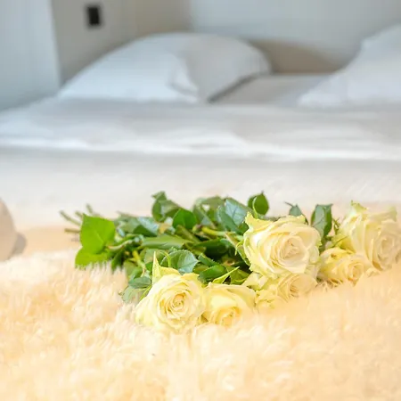 Charming Attic Retreat In Historic Center *