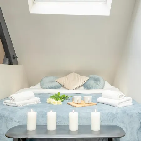 Charming Attic Retreat In Historic Center Appartement Gand